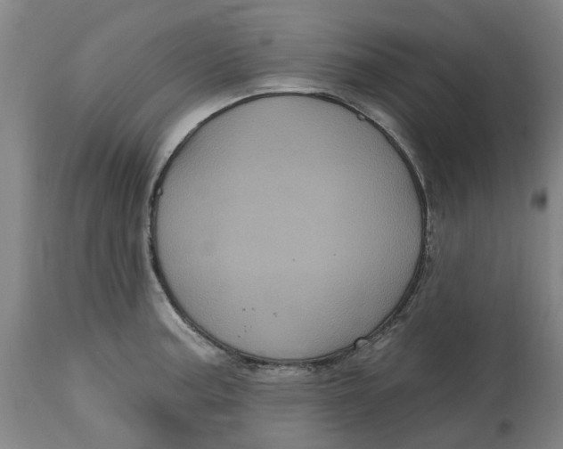 X0000114721187200911121726