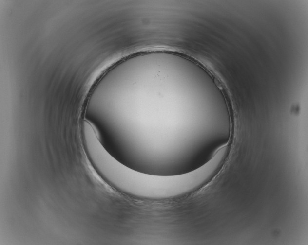 X0000114721189200911121726