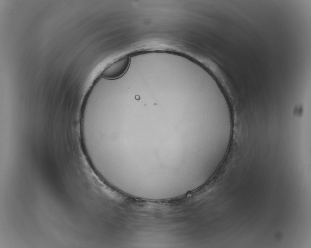 X0000114721191200911121726