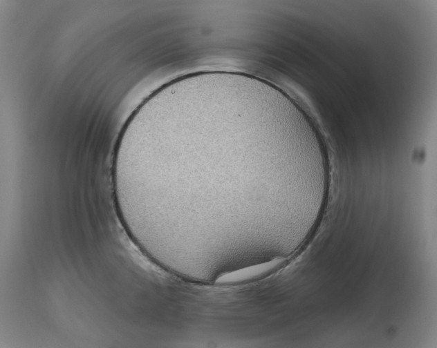 X0000114721192200911121726