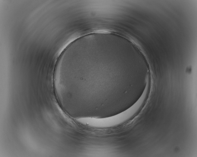 X0000114721194200911121726