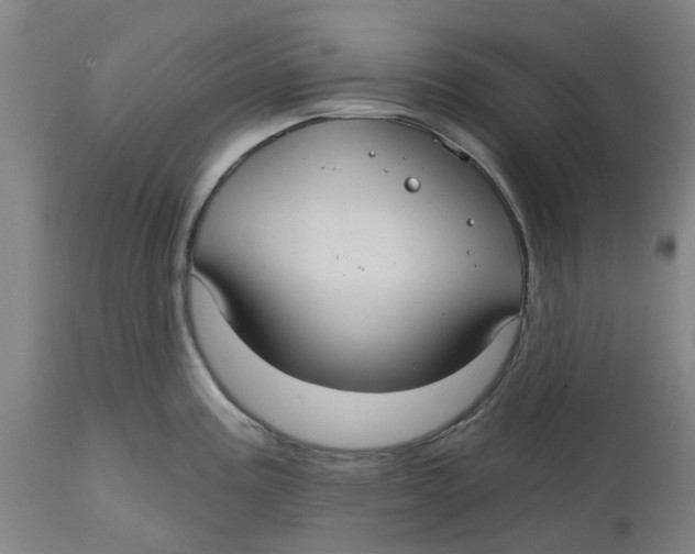 X0000114721195200911121726