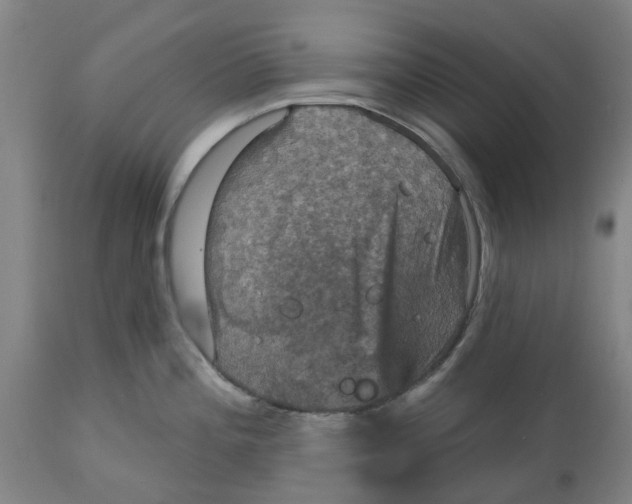 X0000114721196200911121726