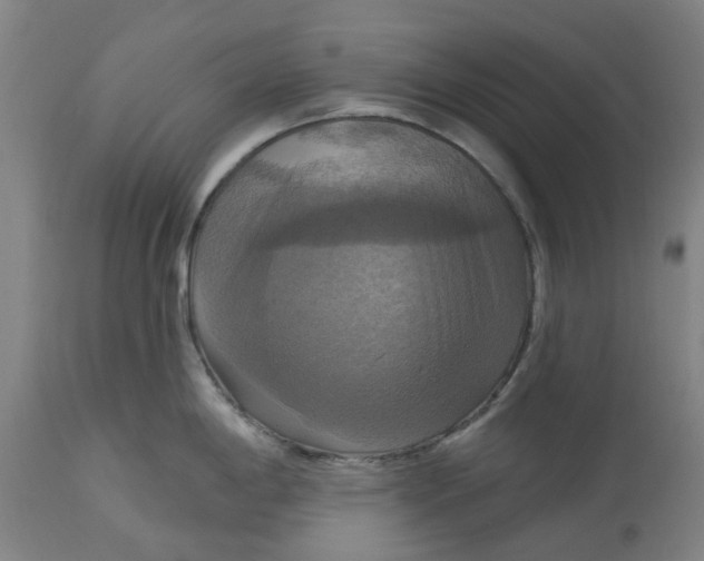 X0000114721198200911121726