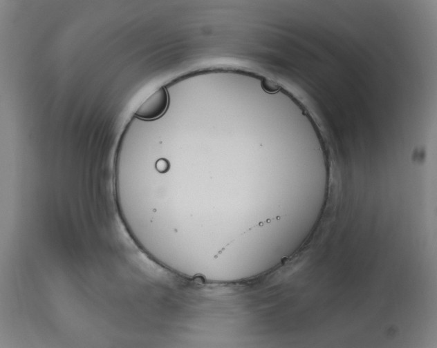 X0000114721199200911121726