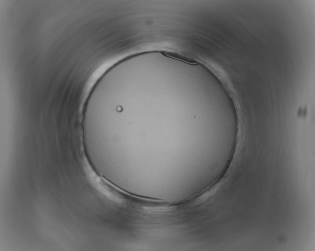 X0000114721200200911121726