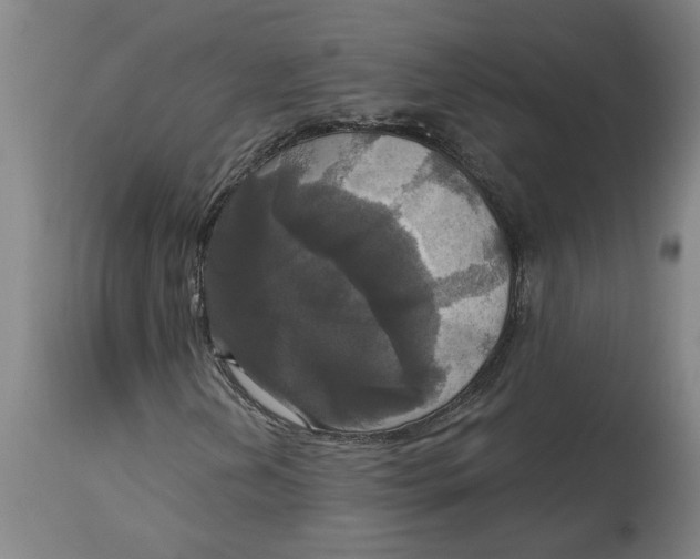 X0000114721202200911121725