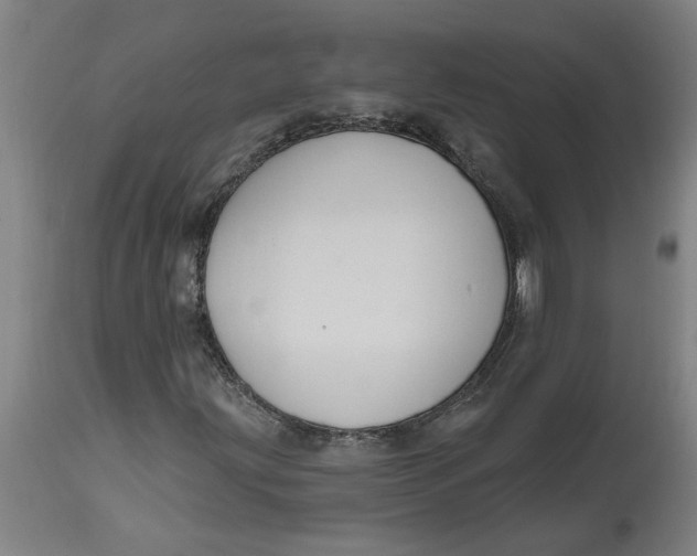 X0000114721203200911121725