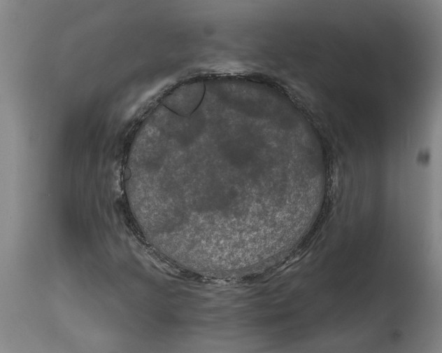 X0000114721205200911121725