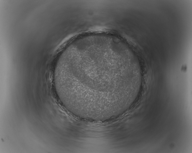 X0000114721206200911121725