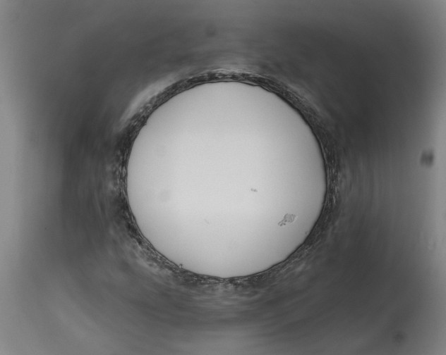 X0000114721207200911121725