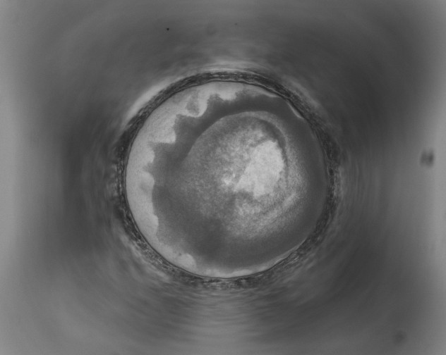 X0000114721208200911121725