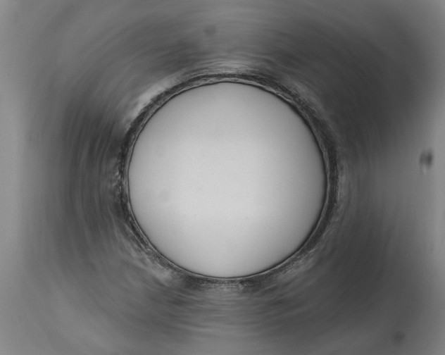 X0000114721210200911121725