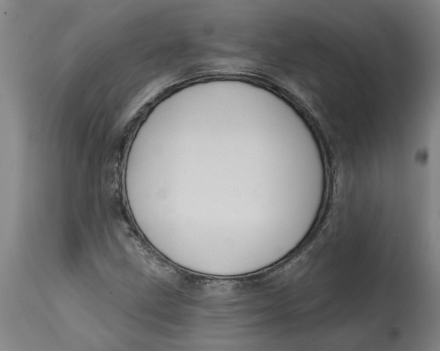 X0000114721211200911121725