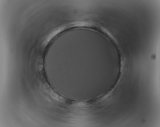 X0000114721213200911121725