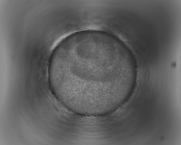 X0000114721214200911121725