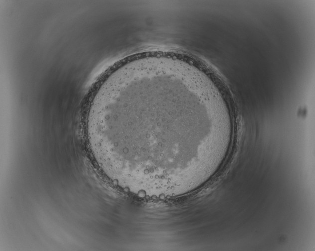 X0000114721215200911121725