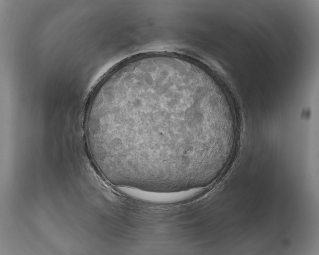 X0000114721216200911121725