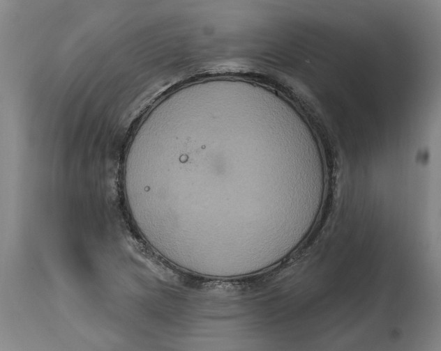 X0000114721217200911121725