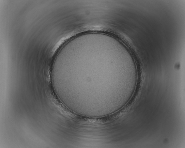 X0000114721218200911121725