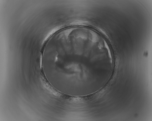 X0000114721219200911121725