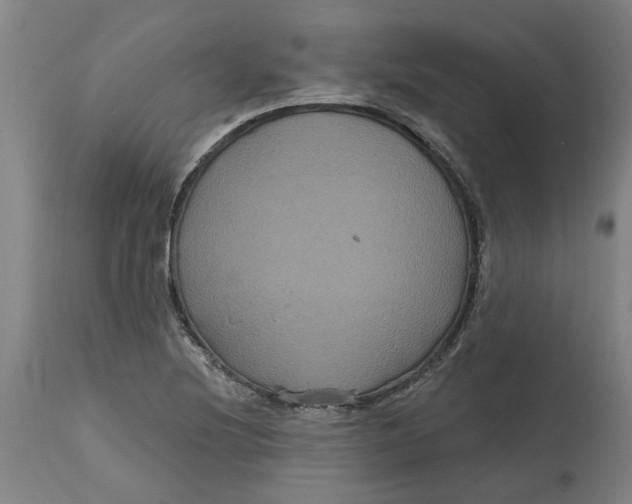 X0000114721220200911121725