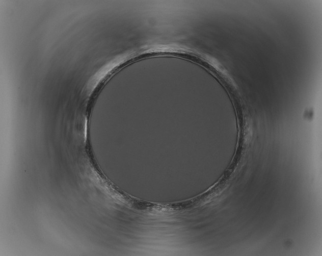 X0000114721221200911121725