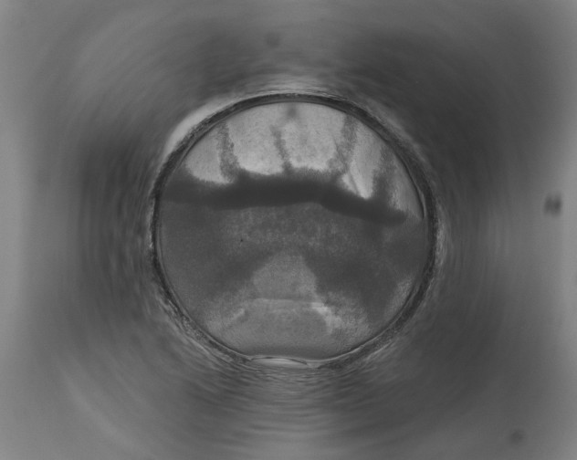 X0000114721222200911121725