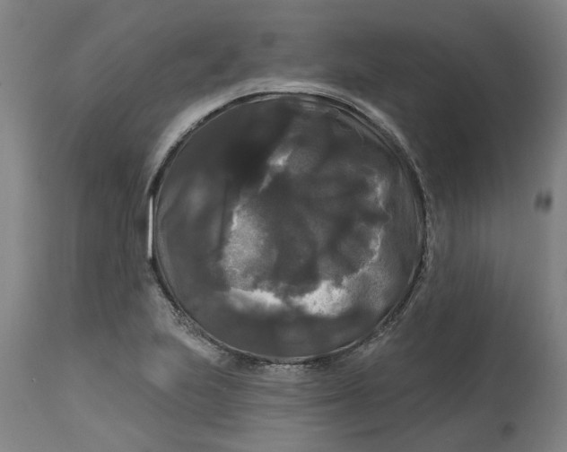 X0000114721223200911121725