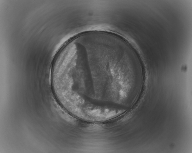 X0000114721224200911121725