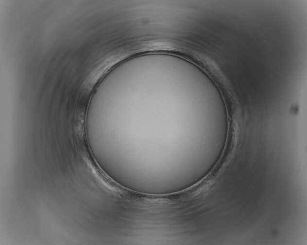 X0000114721225200911121725