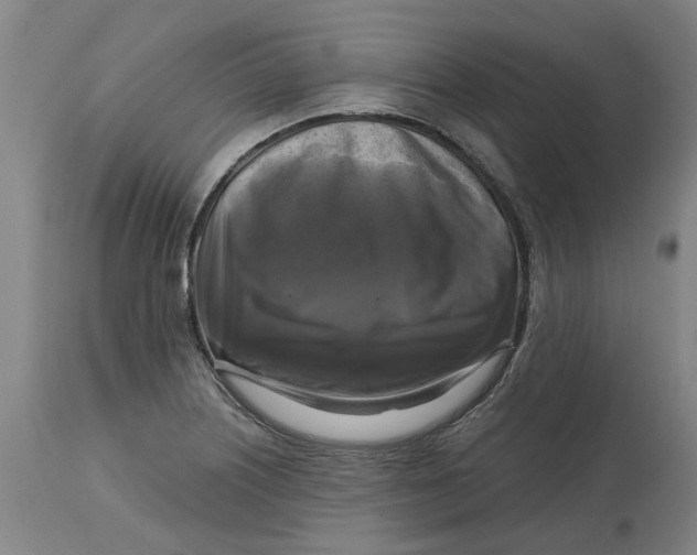 X0000114721226200911121725