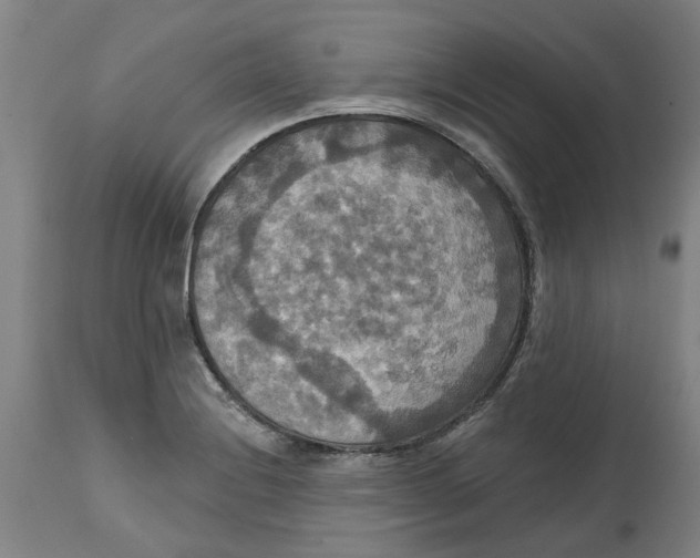 X0000114721228200911121725