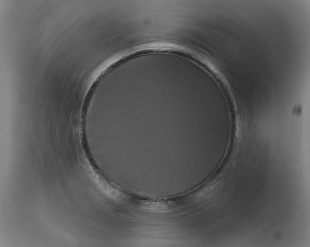 X0000114721229200911121725