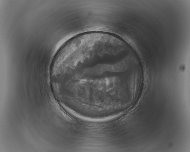 X0000114721230200911121725