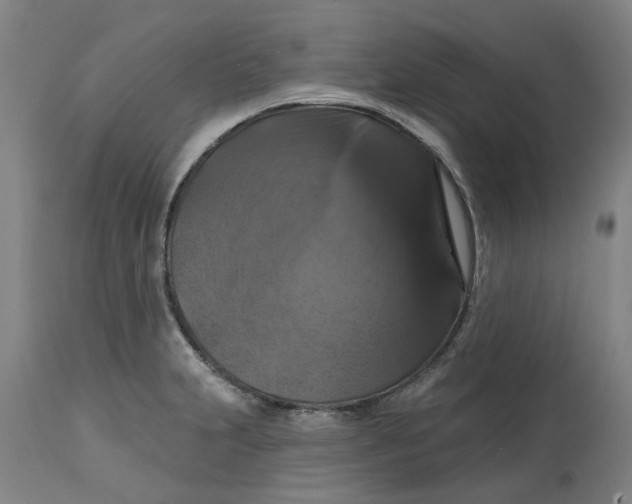 X0000114721231200911121725