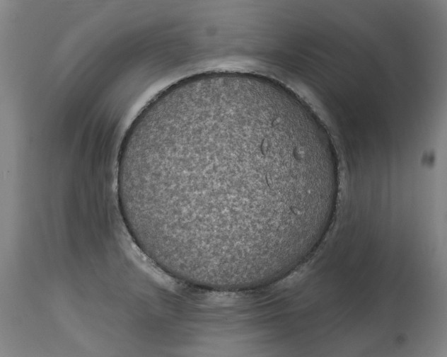 X0000114721232200911121725