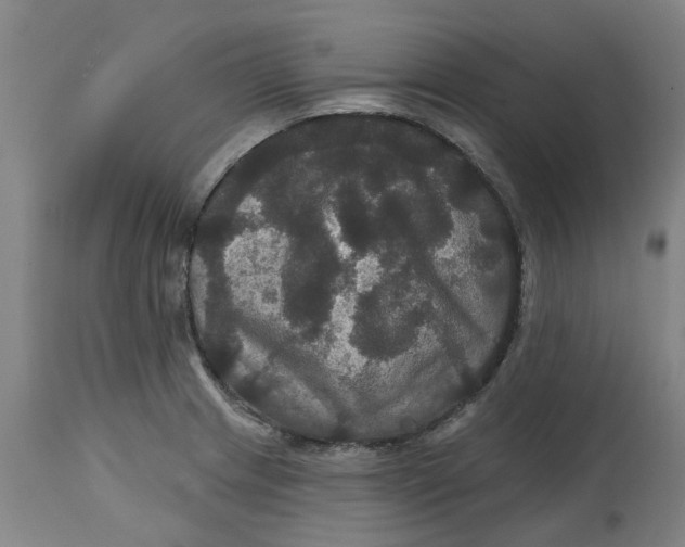 X0000114721233200911121725