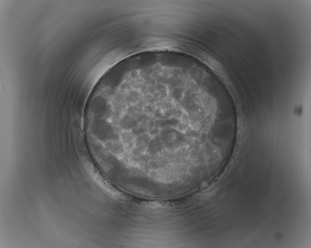 X0000114721234200911121725