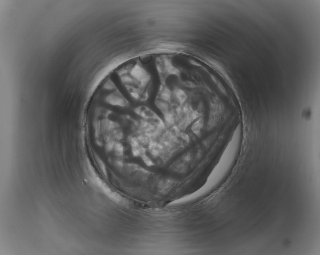 X0000114721235200911121725