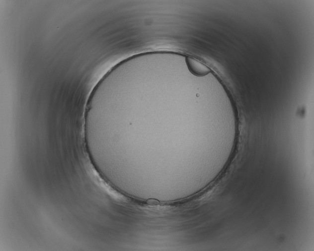 X0000114721236200911121725