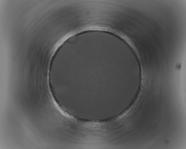 X0000114721237200911121725