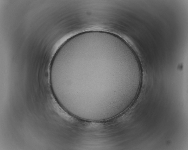 X0000114721238200911121725