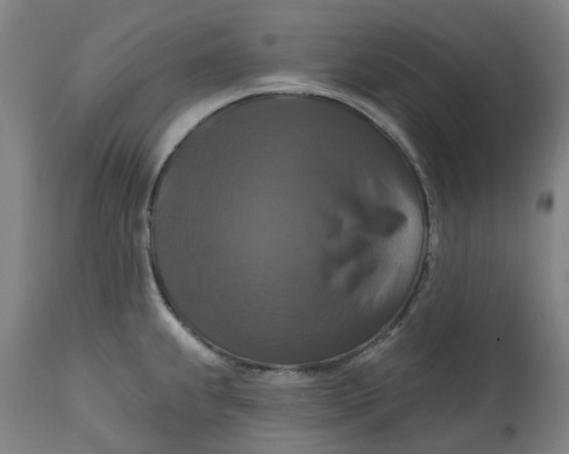 X0000114721239200911121725