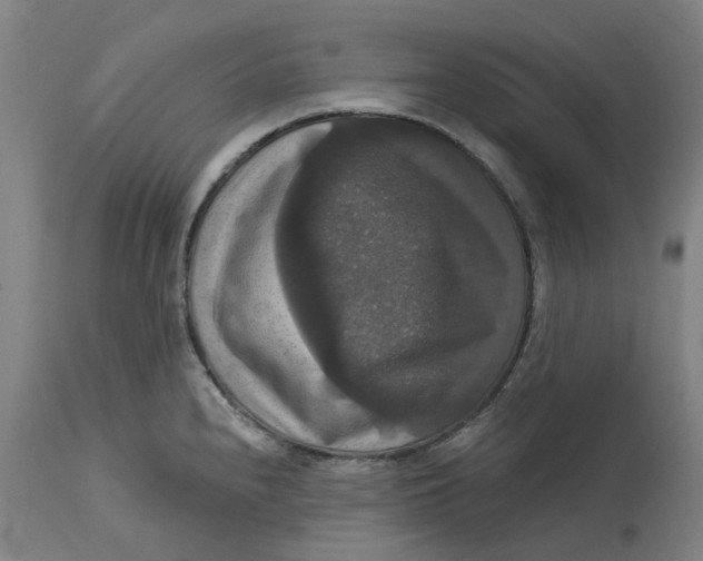 X0000114721240200911121726