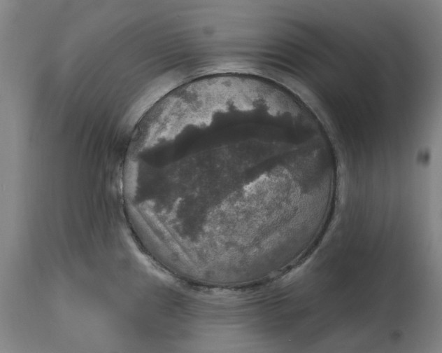 X0000114721241200911121726