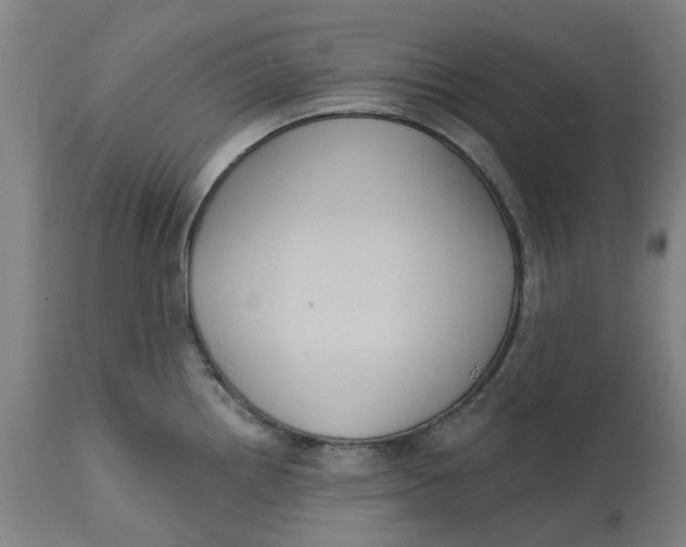 X0000114721242200911121726