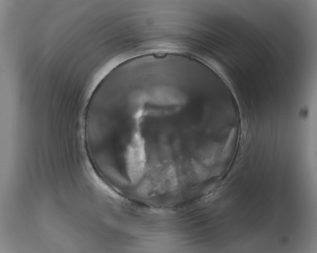 X0000114721243200911121726