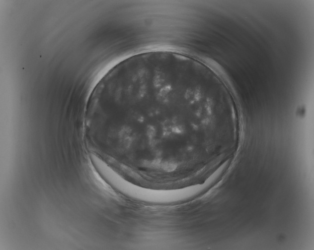 X0000114721244200911121726