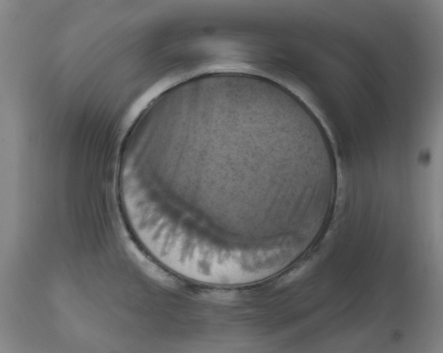 X0000114721245200911121726